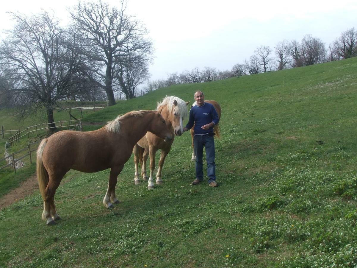 Agriturismo Lusani Caprino Veronese Esterno foto